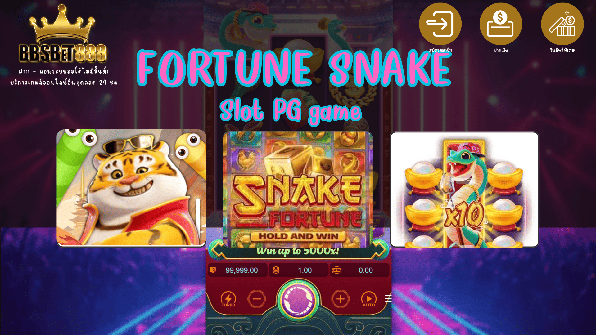 Fortune Snake PG